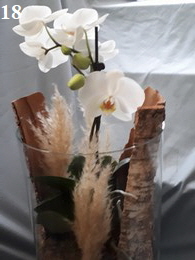Orchidee18a-196